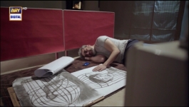 Pinjra - Episode 27 - 30th Mar 2023